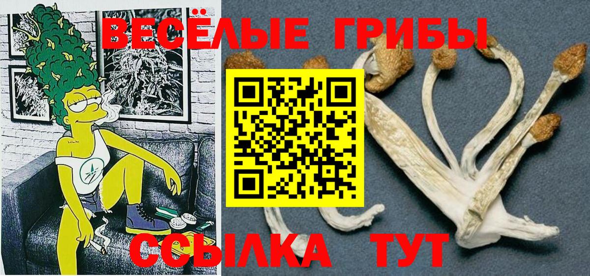 Псилоцибиновые грибы ЛСД  Вход с VPN  Псилоцибиновые грибы мицелий  Дубна 