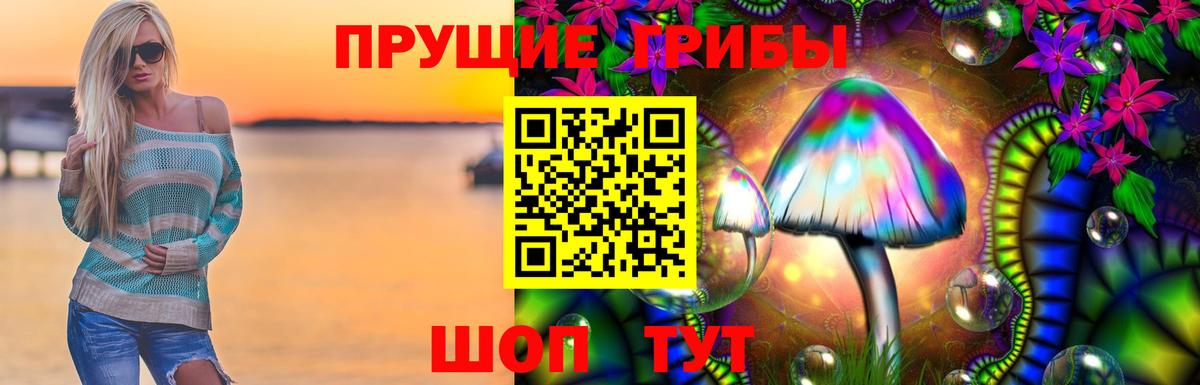 Галлюциногенные грибы Cubensis Дубна